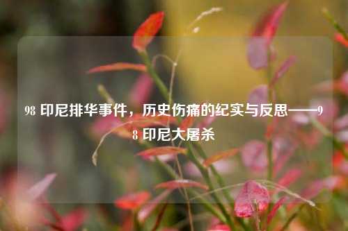 98 印尼排华事件，历史伤痛的纪实与反思——98 印尼大屠杀