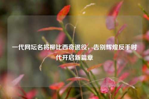 一代网坛名将柳比西奇退役，告别辉煌反手时代开启新篇章