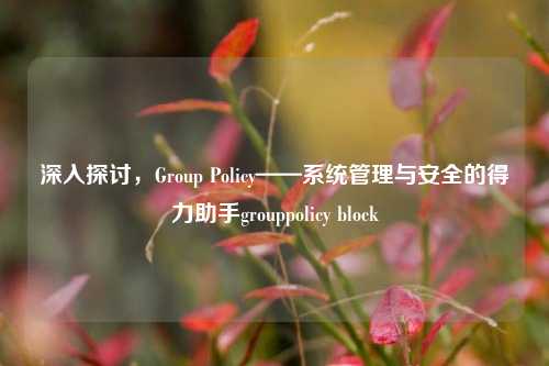 深入探讨,Group Policy——系统管理与安全的得力助手grouppolicy block