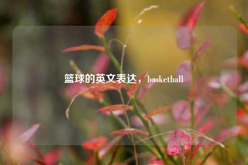 篮球的英文表达，basketball