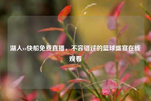 湖人vs快船免费直播，不容错过的篮球盛宴在线观看