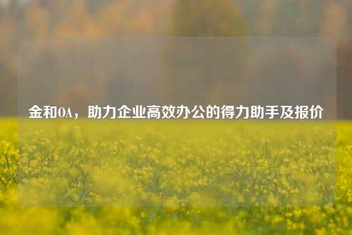 金和OA，助力企业高效办公的得力助手及报价