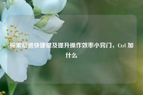 探索后退快捷键及提升操作效率小窍门，Ctrl 加什么