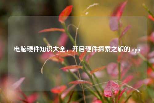 电脑硬件知识大全,开启硬件探索之旅的 app