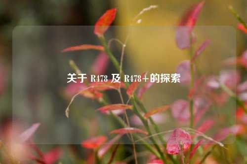 关于 R478 及 R478+的探索