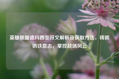 英雄联盟德玛西亚符文解析及获取方法，铸就钢铁意志，掌控战场风云