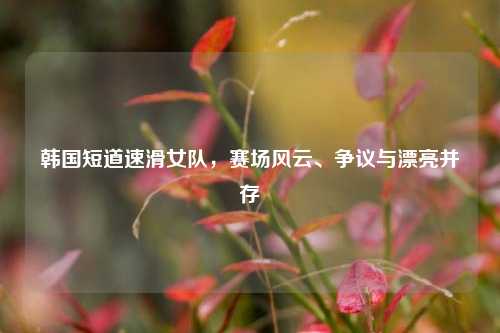 韩国短道速滑女队,赛场风云、争议与漂亮并存