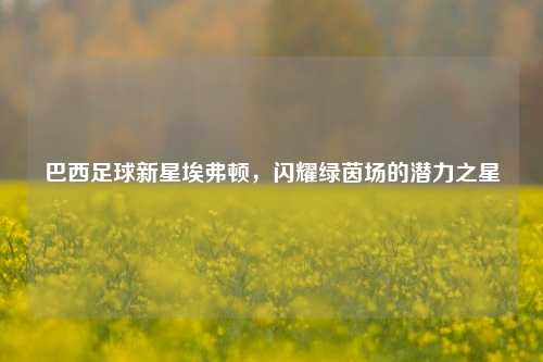 巴西足球新星埃弗顿，闪耀绿茵场的潜力之星