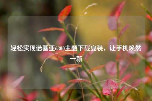 轻松实现诺基亚6300主题下载安装，让手机焕然一新