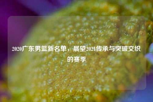 2020广东男篮新名单，展望2021传承与突破交织的赛季