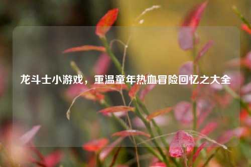 龙斗士小游戏，重温童年热血冒险回忆之大全