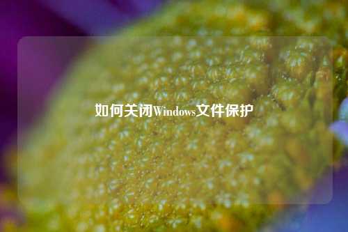 如何关闭Windows文件保护