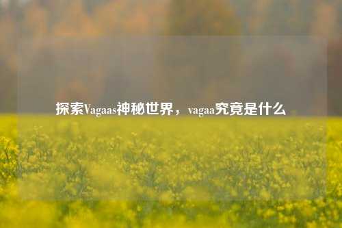 探索Vagaas神秘世界，vagaa究竟是什么