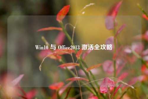 Win10 与 Office2013 激活全攻略