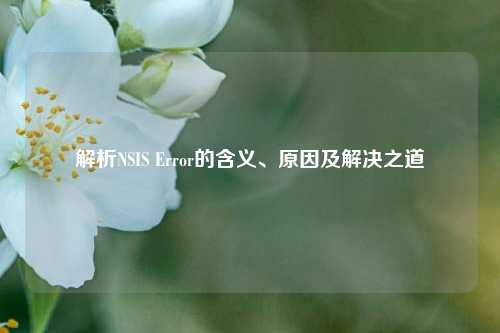解析NSIS Error的含义、原因及解决之道