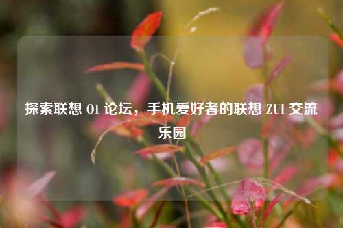 探索联想 O1 论坛，手机爱好者的联想 ZUI 交流乐园