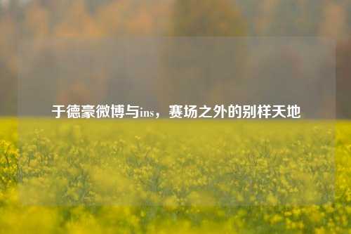于德豪微博与ins，赛场之外的别样天地