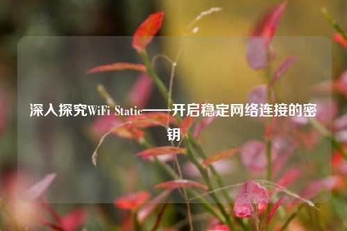 深入探究WiFi Static——开启稳定网络连接的密钥