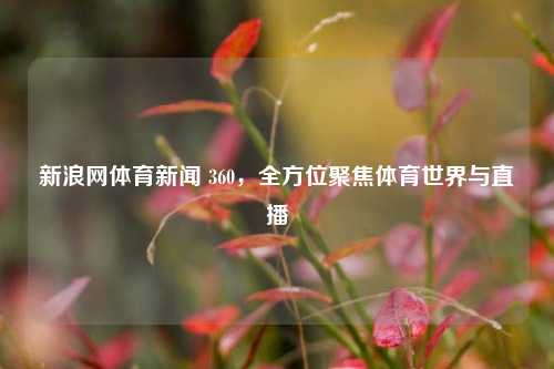 新浪网体育新闻 360,全方位聚焦体育世界与直播