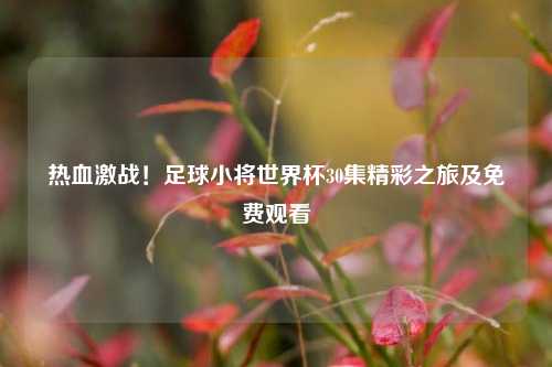 热血激战！足球小将世界杯30集精彩之旅及免费观看