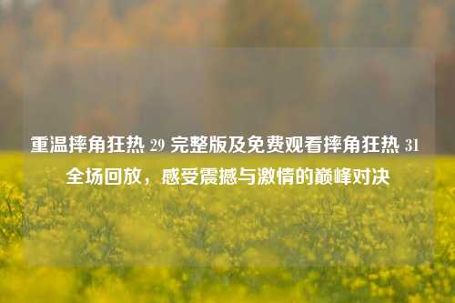重温摔角狂热 29 完整版及免费观看摔角狂热 31 全场回放,感受震撼与激情的巅峰对决