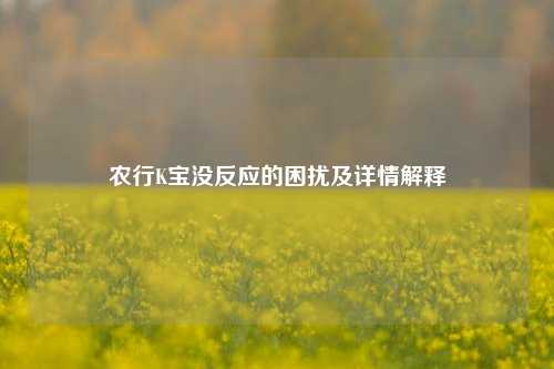 农行K宝没反应的困扰及详情解释
