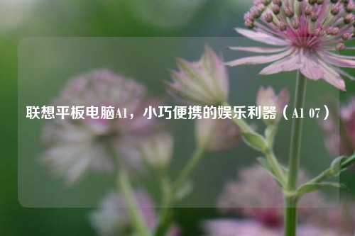 联想平板电脑A1，小巧便携的娱乐利器（A1 07）