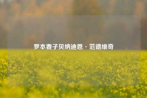 罗本妻子贝纳迪恩·范德维奇