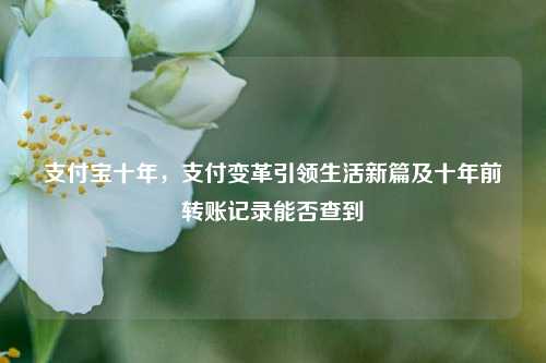 支付宝十年，支付变革引领生活新篇及十年前转账记录能否查到