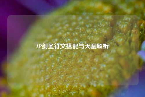 AP剑圣符文搭配与天赋解析
