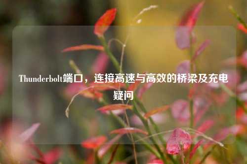 Thunderbolt端口,连接高速与高效的桥梁及充电疑问