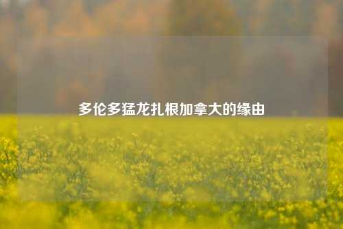 多伦多猛龙扎根加拿大的缘由