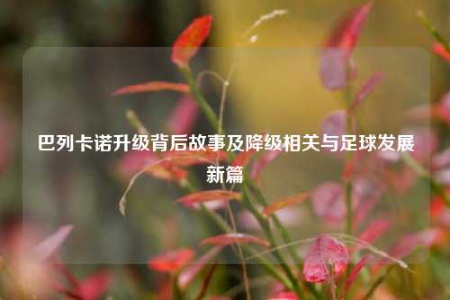 巴列卡诺升级背后故事及降级相关与足球发展新篇