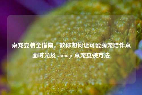 桌宠安装全指南，教你如何让可爱萌宠陪伴桌面时光及 shimeji 桌宠安装方法
