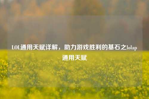 LOL通用天赋详解，助力游戏胜利的基石之lolap通用天赋