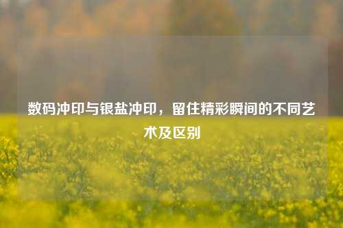 数码冲印与银盐冲印，留住精彩瞬间的不同艺术及区别