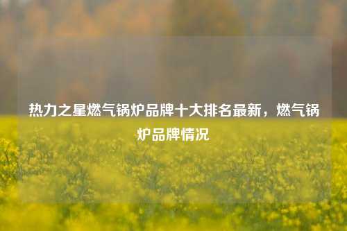 热力之星燃气锅炉品牌十大排名最新，燃气锅炉品牌情况