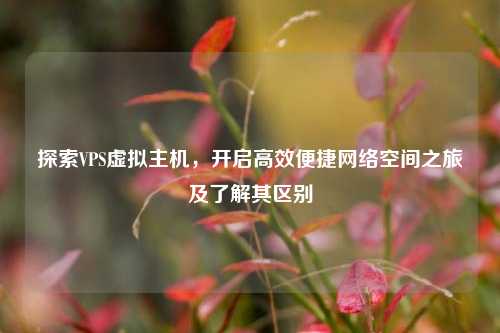探索VPS虚拟主机,开启高效便捷网络空间之旅及了解其区别