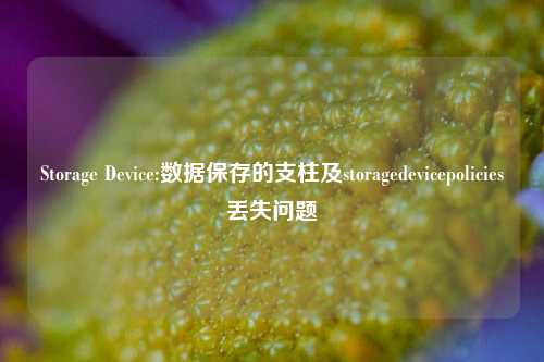 Storage Device:数据保存的支柱及storagedevicepolicies丢失问题