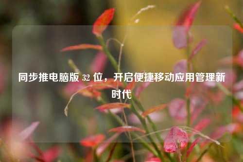 同步推电脑版 32 位,开启便捷移动应用管理新时代