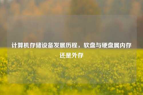 计算机存储设备发展历程，软盘与硬盘属内存还是外存