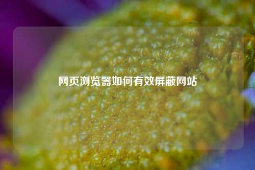 网页浏览器如何有效屏蔽网站