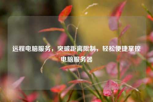 远程电脑服务,突破距离限制,轻松便捷掌控电脑服务器