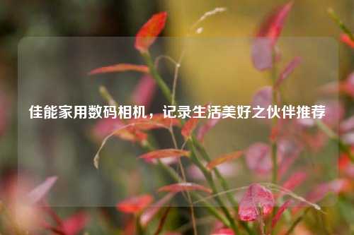 佳能家用数码相机，记录生活美好之伙伴推荐