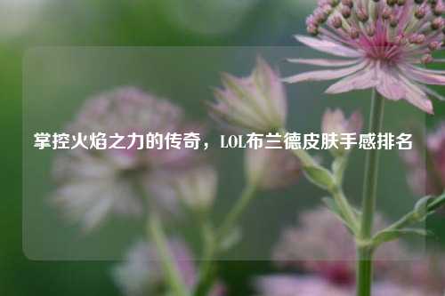 掌控火焰之力的传奇，LOL布兰德皮肤手感排名