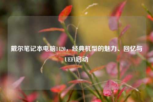 戴尔笔记本电脑1420，经典机型的魅力、回忆与UEFI启动
