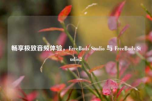 畅享极致音频体验，FreeBuds Studio 与 FreeBuds Studio2