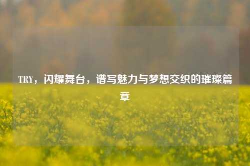 TRY，闪耀舞台，谱写魅力与梦想交织的璀璨篇章