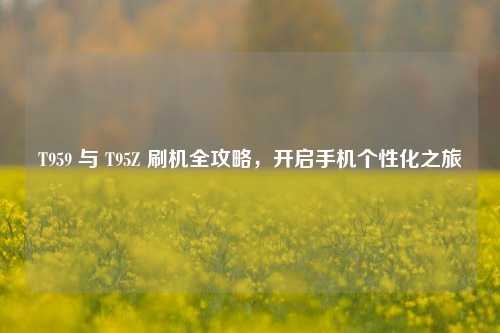 T959 与 T95Z 刷机全攻略，开启手机个性化之旅