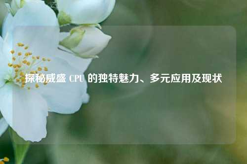 探秘威盛 CPU 的独特魅力、多元应用及现状